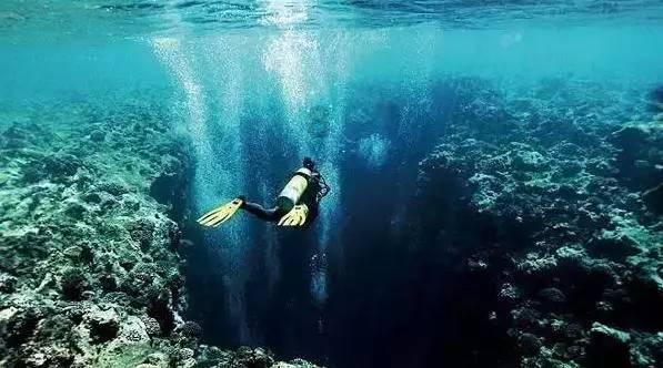 消失的国度-西夏地方势力政治变迁